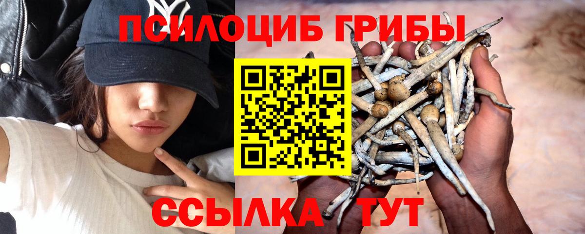 Псилоцибиновые грибы MAGIC MUSHROOMS  Псилоцибиновые грибы MAGIC MUSHROOMS  Вход с VPN  Пермь 