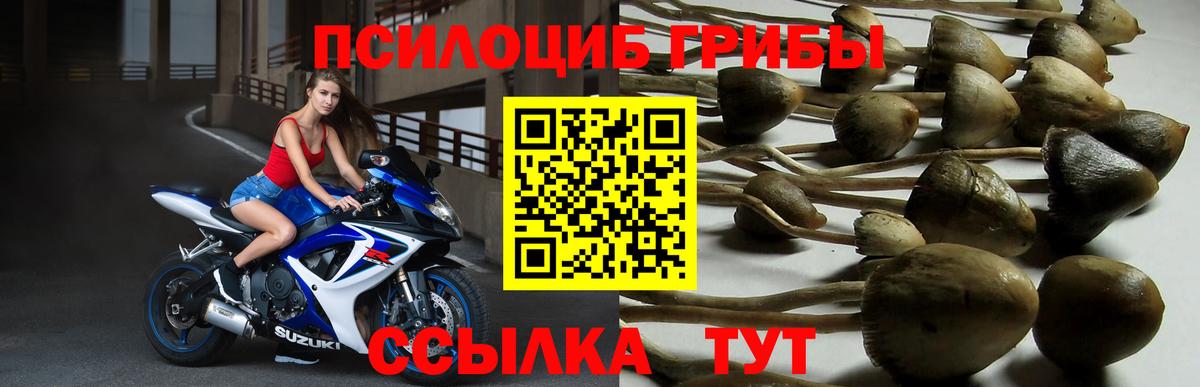 Псилоцибиновые грибы Magic Shrooms Пермь